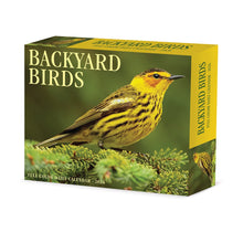 Load image into Gallery viewer, Willow Creek Backyard Birds 2026 6.2&quot; x 5.4&quot; Box Calendar
