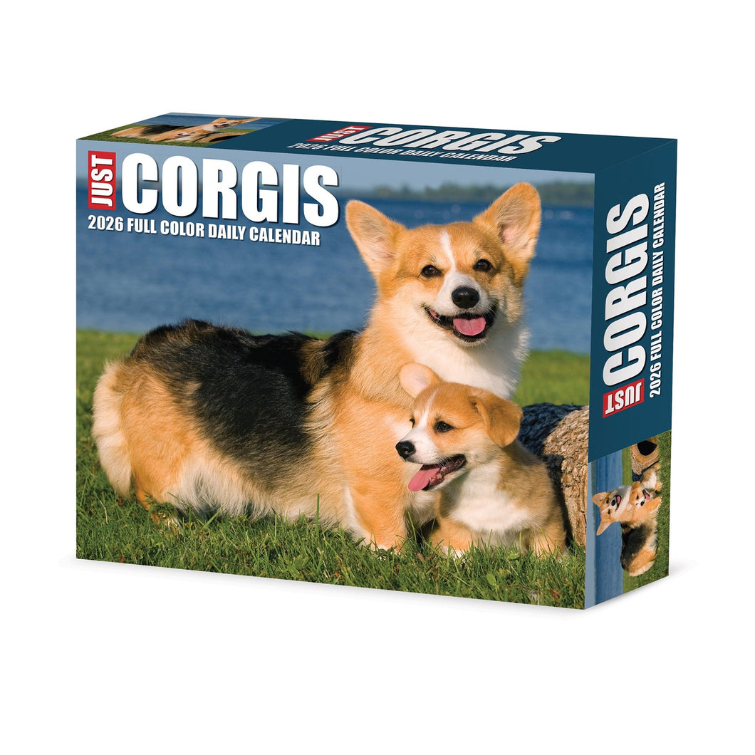 Willow Creek Corgis 2026 6.2