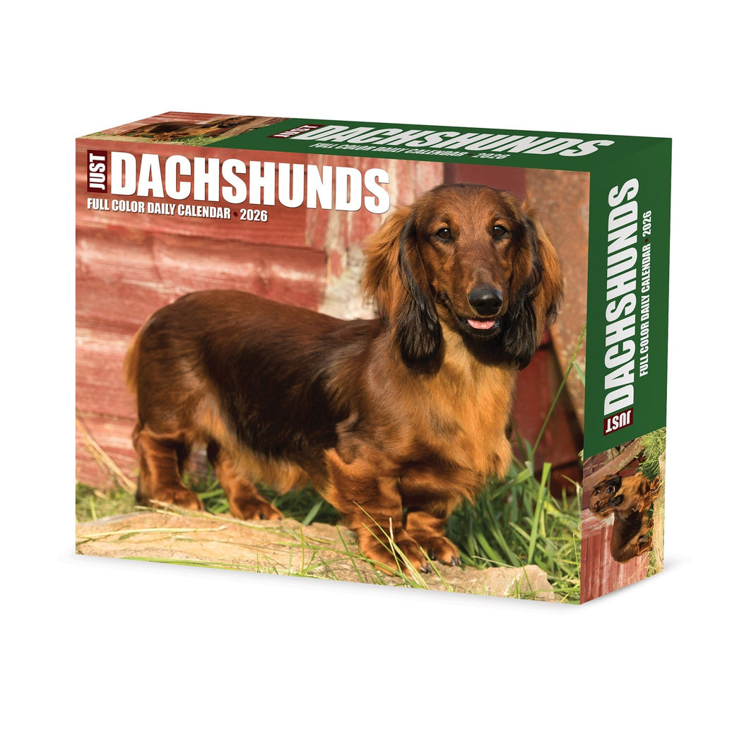 Willow Creek Dachshunds 2026 6.2