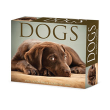 Load image into Gallery viewer, Willow Creek Dogs 2026 6.2&quot; x 5.4&quot; Box Calendar
