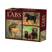 Load image into Gallery viewer, Willow Creek Just Labs 2026 6.2&quot; x 5.4&quot; Box Calendar
