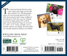 Load image into Gallery viewer, Willow Creek Just Labs 2026 6.2&quot; x 5.4&quot; Box Calendar
