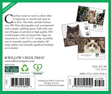 Load image into Gallery viewer, Willow Creek What Cats Teach Us 2026 6.2&quot; x 5.4&quot; Box Calendar

