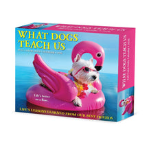 Load image into Gallery viewer, Willow Creek What Dogs Teach Us 2026 6.2&quot; x 5.4&quot; Box Calendar
