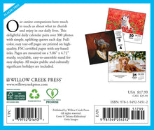 Load image into Gallery viewer, Willow Creek What Dogs Teach Us 2026 6.2&quot; x 5.4&quot; Box Calendar

