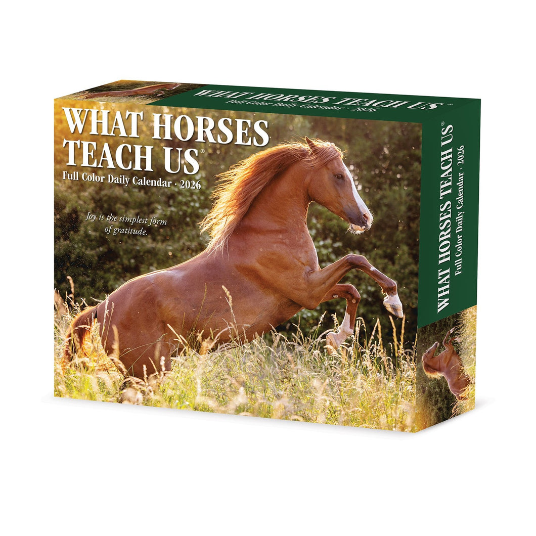 Willow Creek What Horses Teach Us 2026 6.2