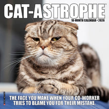 Load image into Gallery viewer, Willow Creek Cat-astrophe 2026 7&quot; x 7&quot; Mini Wall Calendar
