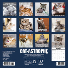 Load image into Gallery viewer, Willow Creek Cat-astrophe 2026 7&quot; x 7&quot; Mini Wall Calendar
