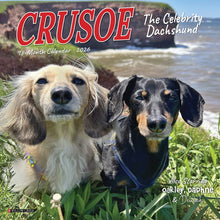 Load image into Gallery viewer, Willow Creek Crusoe the Celebrity Dachshund 2026 7&quot; x 7&quot; Mini Wall Calendar
