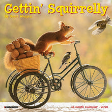 Load image into Gallery viewer, Willow Creek Gettin&#39; Squirrelly 2026 7&quot; x 7&quot; Mini Wall Calendar
