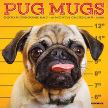 Load image into Gallery viewer, Willow Creek Pug Mugs 2026 7&quot; x 7&quot; Mini Wall Calendar
