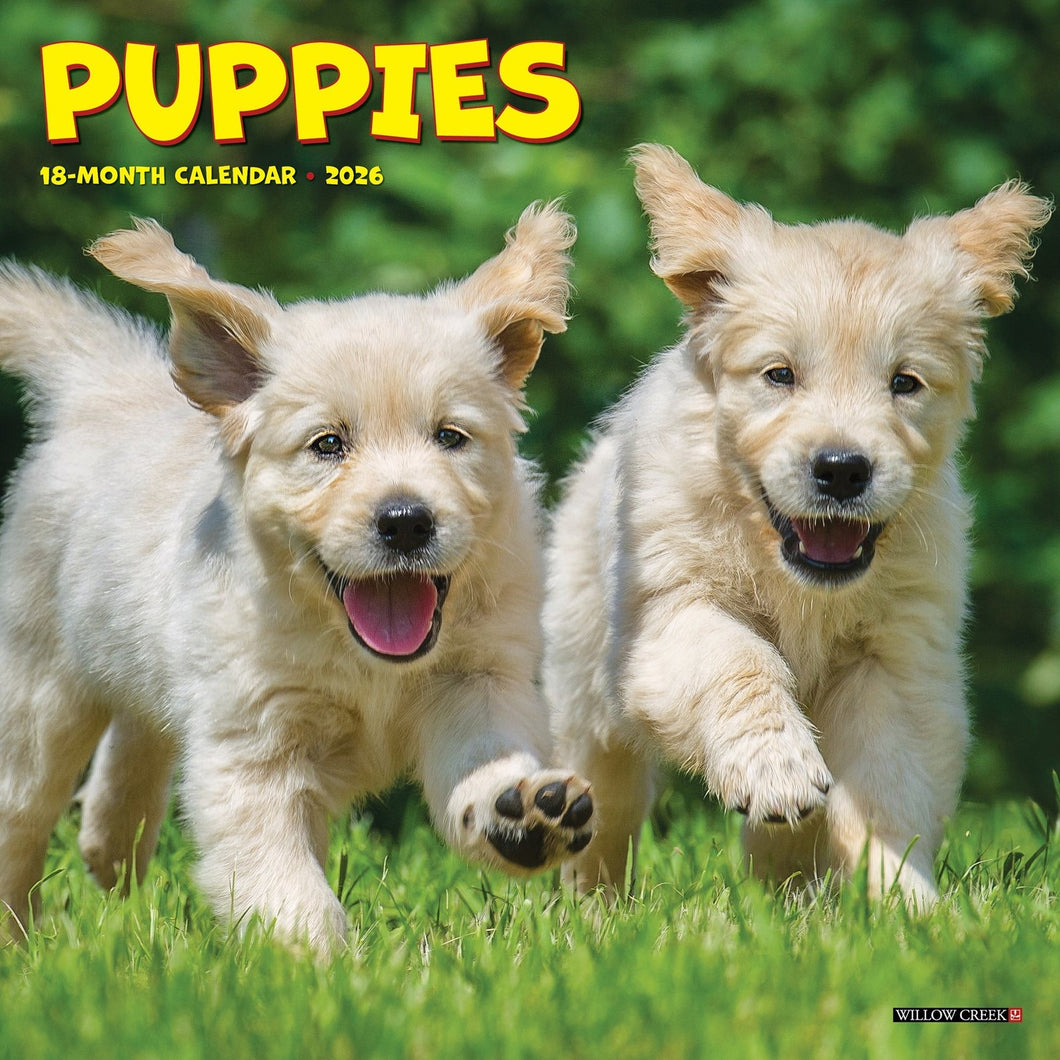 Willow Creek Puppies 2026 7
