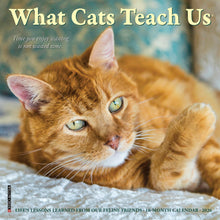 Load image into Gallery viewer, Willow Creek What Cats Teach Us 2026 7&quot; x 7&quot; Mini Wall Calendar
