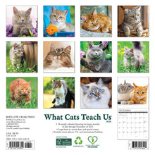 Load image into Gallery viewer, Willow Creek What Cats Teach Us 2026 7&quot; x 7&quot; Mini Wall Calendar
