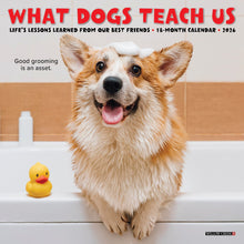 Load image into Gallery viewer, Willow Creek What Dogs Teach Us 2026 7&quot; x 7&quot; Mini Wall Calendar
