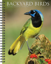 Load image into Gallery viewer, Willow Creek Backyard Birds 2026 6.5&quot; x 8.5&quot; Engagement Calendar
