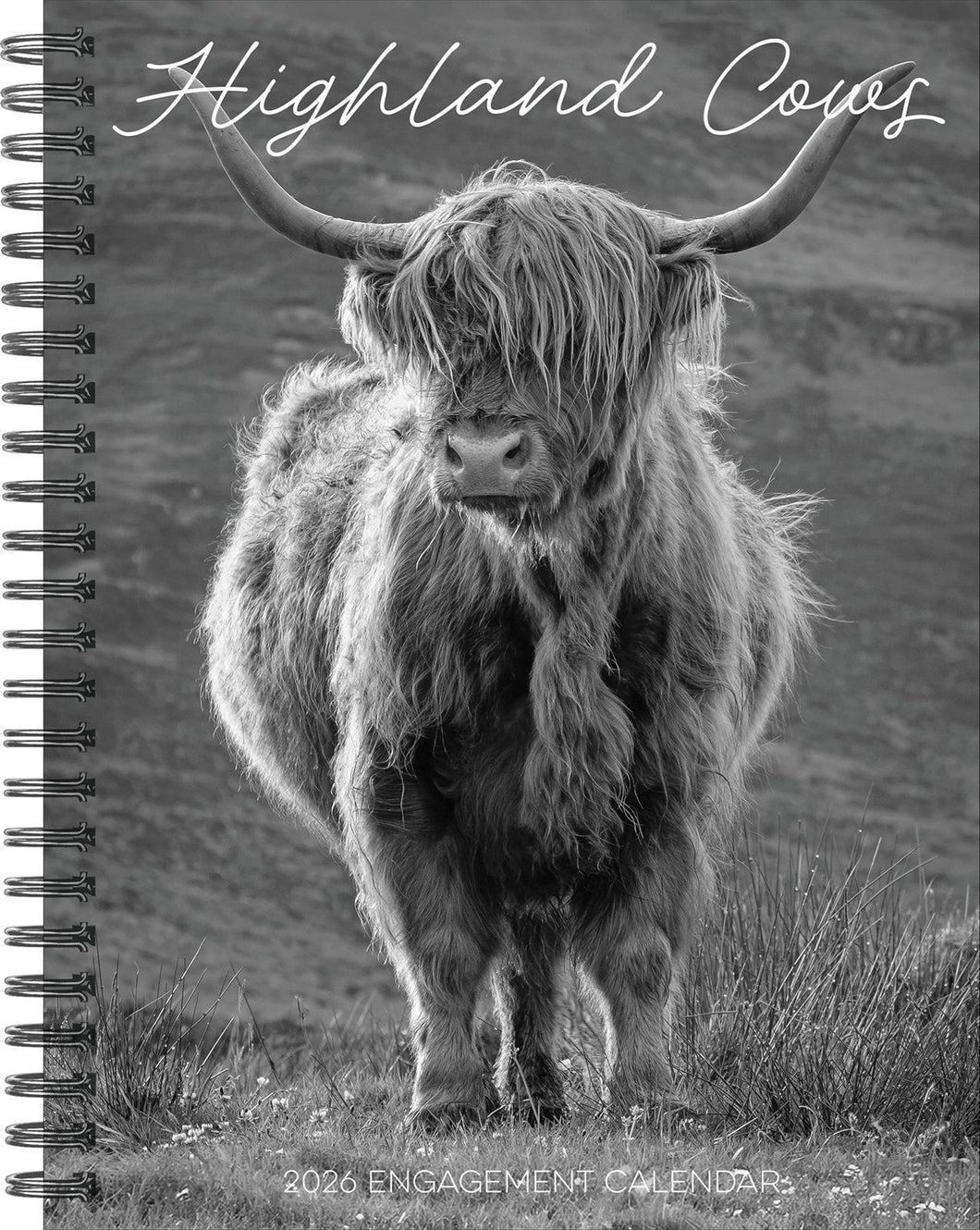 Willow Creek Highland Cows 2026 6.5