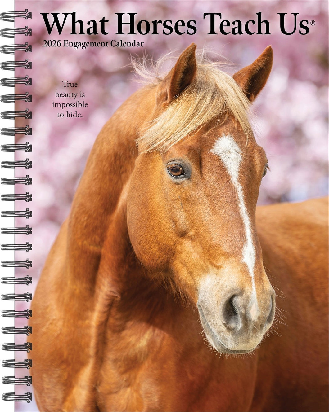 Willow Creek What Horses Teach Us 2026 6.5