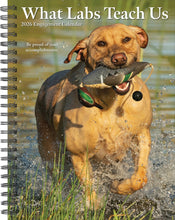 Load image into Gallery viewer, Willow Creek What Labs Teach Us 2026 6.5&quot; x 8.5&quot; Engagement Calendar
