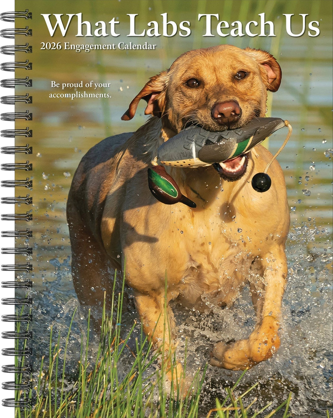 Willow Creek What Labs Teach Us 2026 6.5