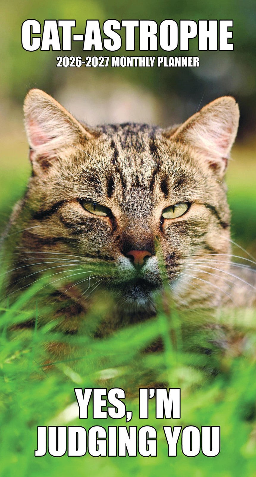 Willow Creek Cat-astrophe 2026 2-Year Monthly Pocket Planner