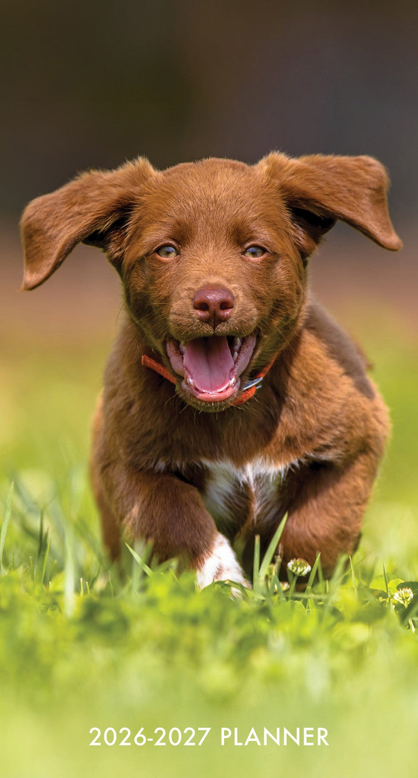 Willow Creek Puppy Love 2026 2-Year Monthly Pocket Planner