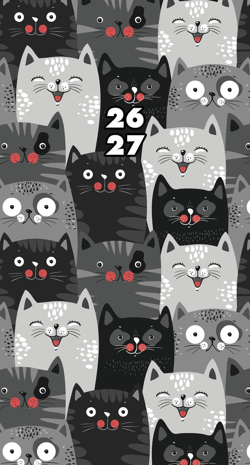Willow Creek Purrfect 2026 2-Year Monthly Pocket Planner