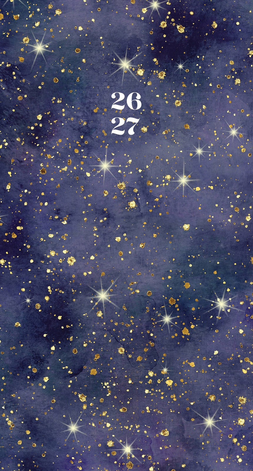 Willow Creek Starry Night 2026 2-Year Monthly Pocket Planner