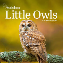 Load image into Gallery viewer, Workman Audubon Little Owls 2026 Mini Calendar
