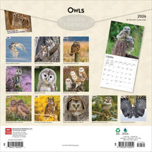Load image into Gallery viewer, Browntrout Owls 2026 12 x 12 Wall Calendar
