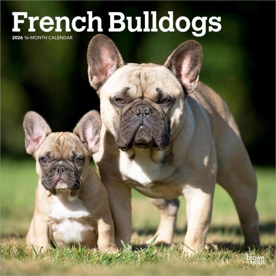 Browntrout French Bulldogs 2026 12 x 12 Wall Calendar
