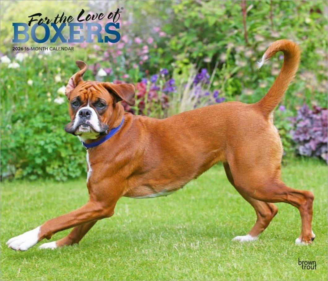 Browntrout For the Love of Boxers 2026 14 x 12 Wall Calendar