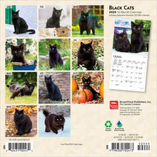 Load image into Gallery viewer, Browntrout Black Cats 2026 7 x 7 Mini Calendar

