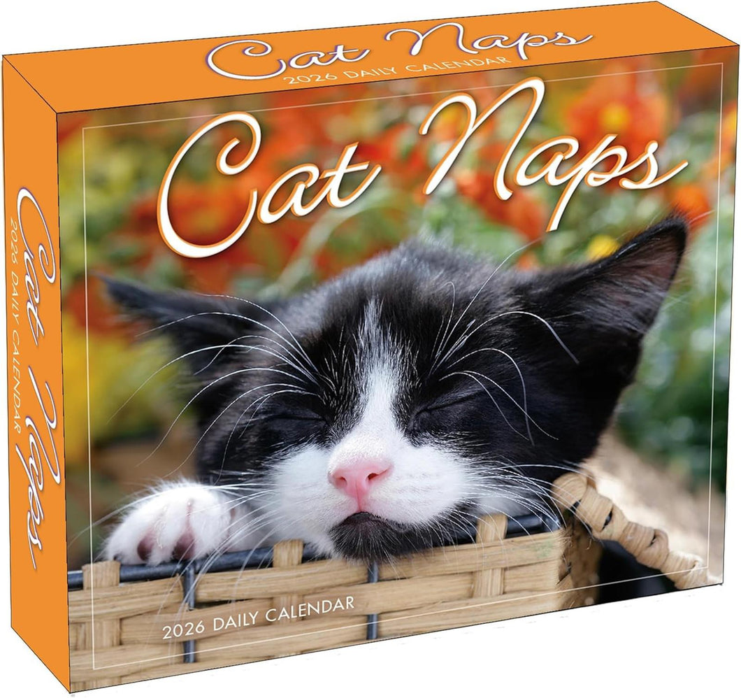 Sellers Publishing Cat Naps 2026 6.2