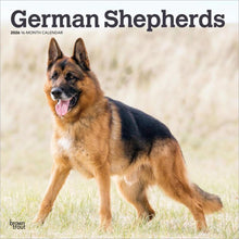 Load image into Gallery viewer, Browntrout German Shepherds 2026 12 x 12 Wall Calendar
