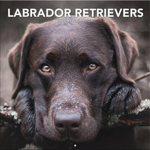 Load image into Gallery viewer, Turner Labrador Retrievers 12x12 Photo 2026 Wall Calendar
