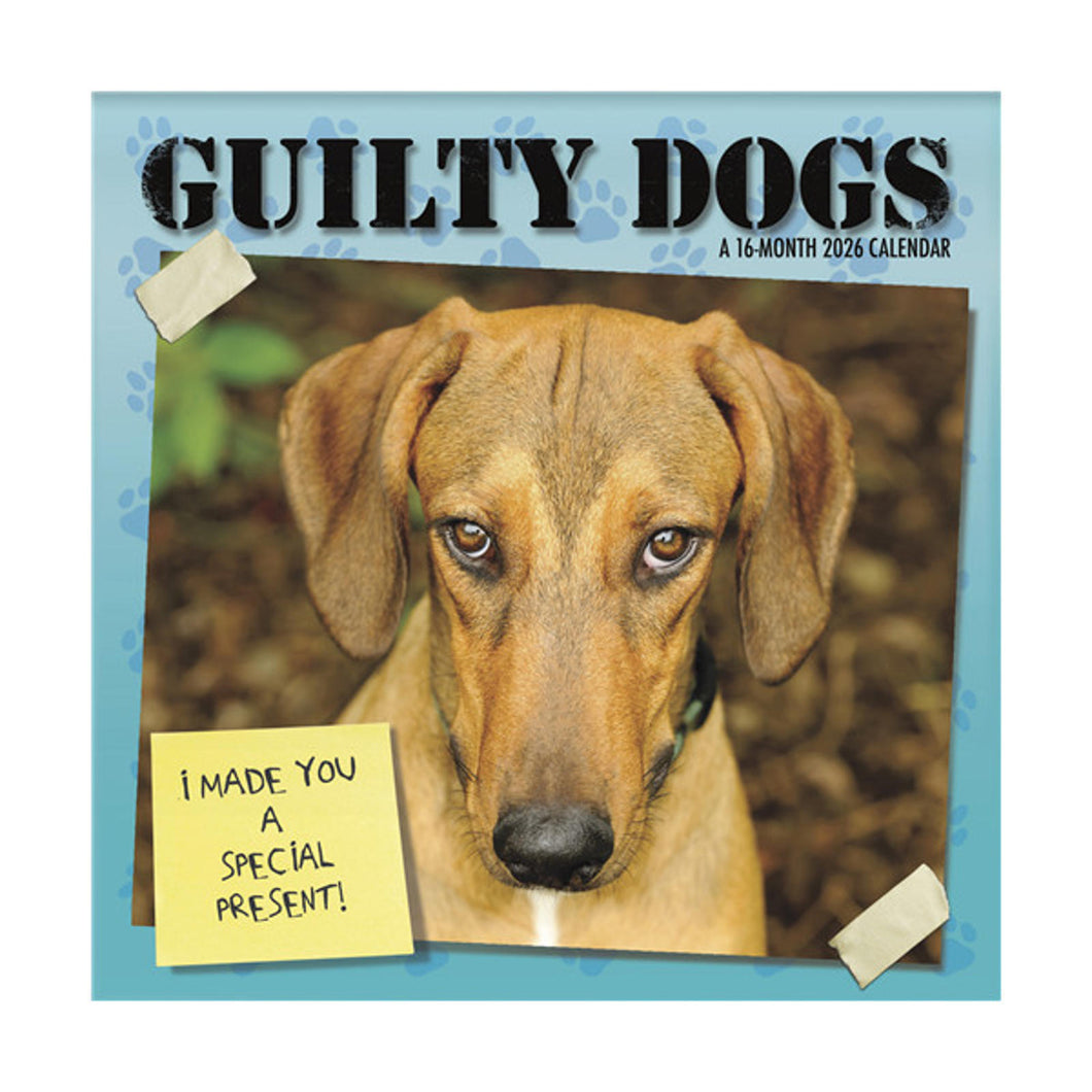 Trends International Guilty Dog 2026 12 x 12 Wall Calendar