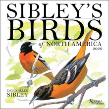 Load image into Gallery viewer, Universe Sibley&#39;s Birds of North America 12x12 2026 Wall Calendar
