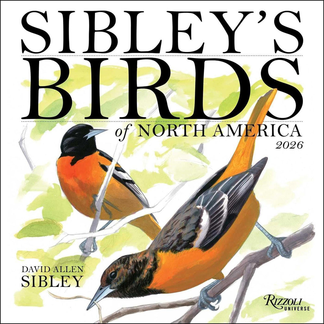Universe Sibley's Birds of North America 12x12 2026 Wall Calendar