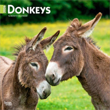 Load image into Gallery viewer, Browntrout Donkeys 2026 12 x 12 Wall Calendar
