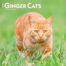 Load image into Gallery viewer, Browntrout Ginger Cats 2026 12 x 12 Wall Calendar
