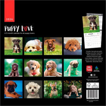 Load image into Gallery viewer, Browntrout Puppy Love 2026 12 x 12 Wall Calendar
