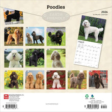 Load image into Gallery viewer, Browntrout Poodles 2026 12 x 12 Wall Calendar
