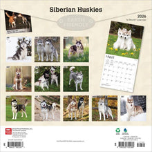 Load image into Gallery viewer, Browntrout Siberian Huskies 2026 12 x 12 Wall Calendar
