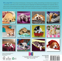 Load image into Gallery viewer, Sellers Publishing Pooped Puppies 2026 7 x 7 Mini Calendar
