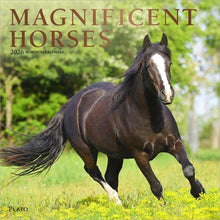 Load image into Gallery viewer, Browntrout Magnificent Horses 2026 12 x 12 Wall Calendar

