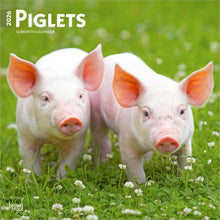 Load image into Gallery viewer, Browntrout Piglets 2026 12 x 12 Wall Calendar
