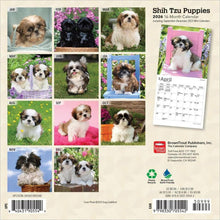 Load image into Gallery viewer, Browntrout Shih Tzu Puppies 2026 7 x 7 Mini Calendar

