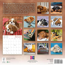 Load image into Gallery viewer, Sellers Publishing Pooped Puppies 2026 12 x 12 Wall Calendar
