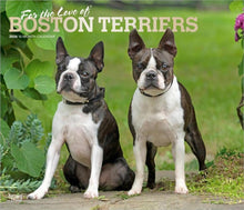 Load image into Gallery viewer, Browntrout For the Love of Boston Terriers 2026 14 x 12 Wall Calendar
